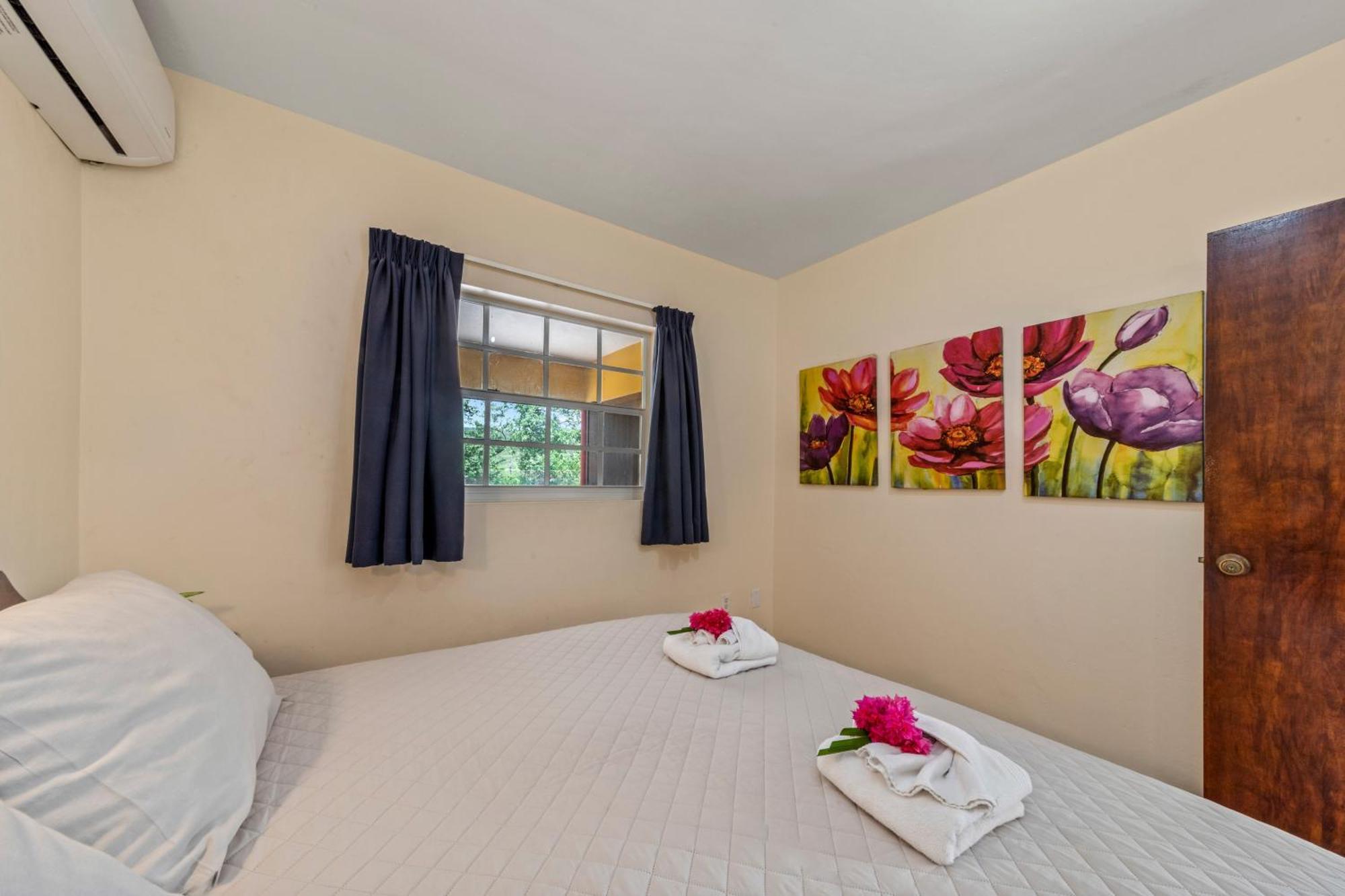 Bahia Apartments & Diving Lagun Room photo